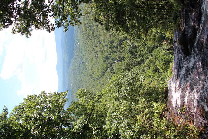 View from the top of the falls