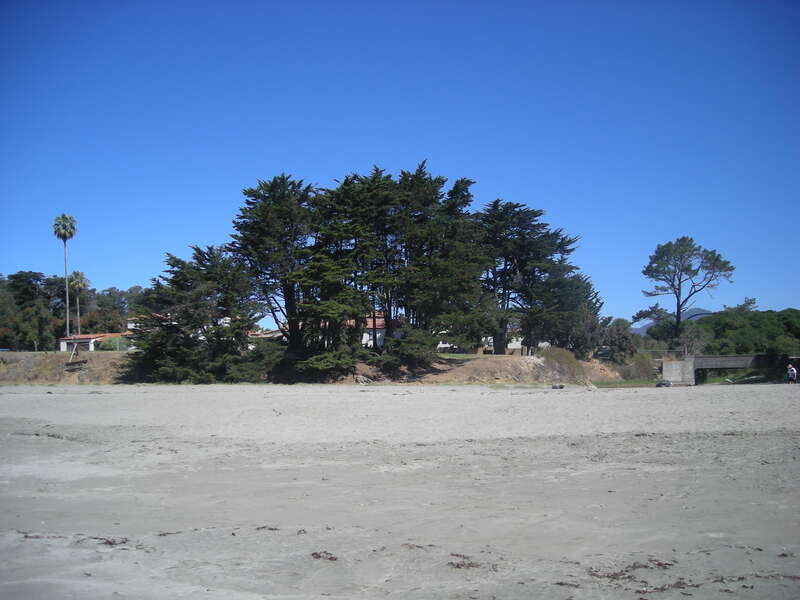 William Randolph Hearst Memorial State Beach along the Pacific Ocean in San Luis Obispo County, California (United States).