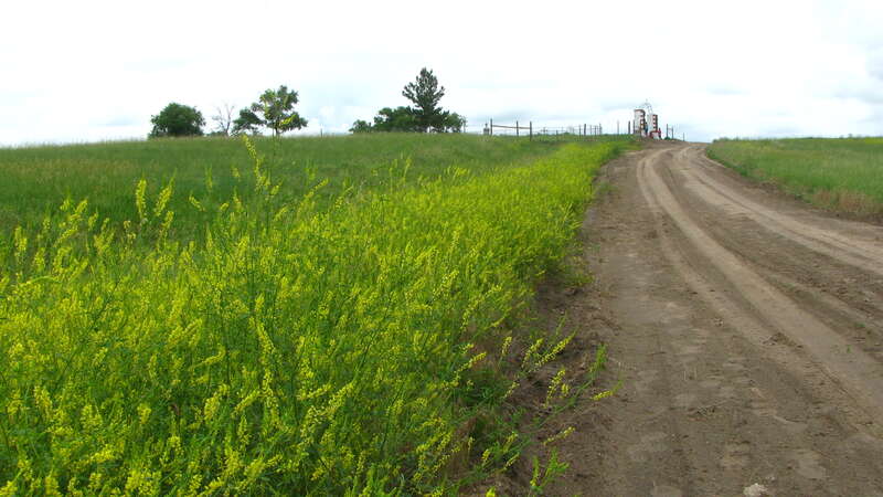 Wounded Knee Battlefield