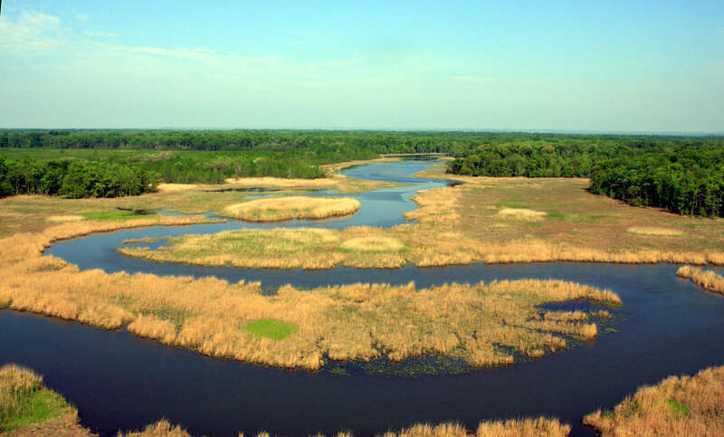 Aerial view of important bald eagle habitat near Aberdeen Proving Ground 
Credit: Leo Miranda/USFWS