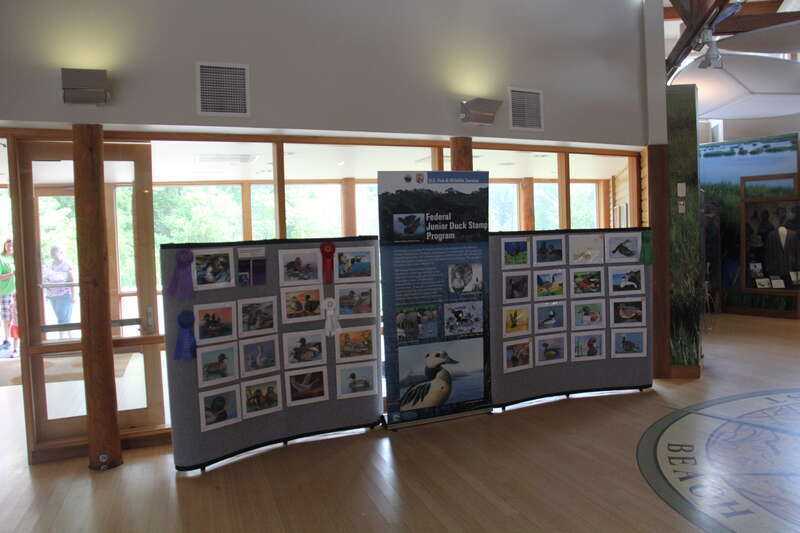 assateague island educational center