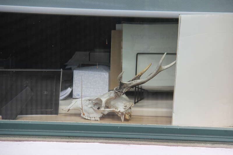 assateague island educational center