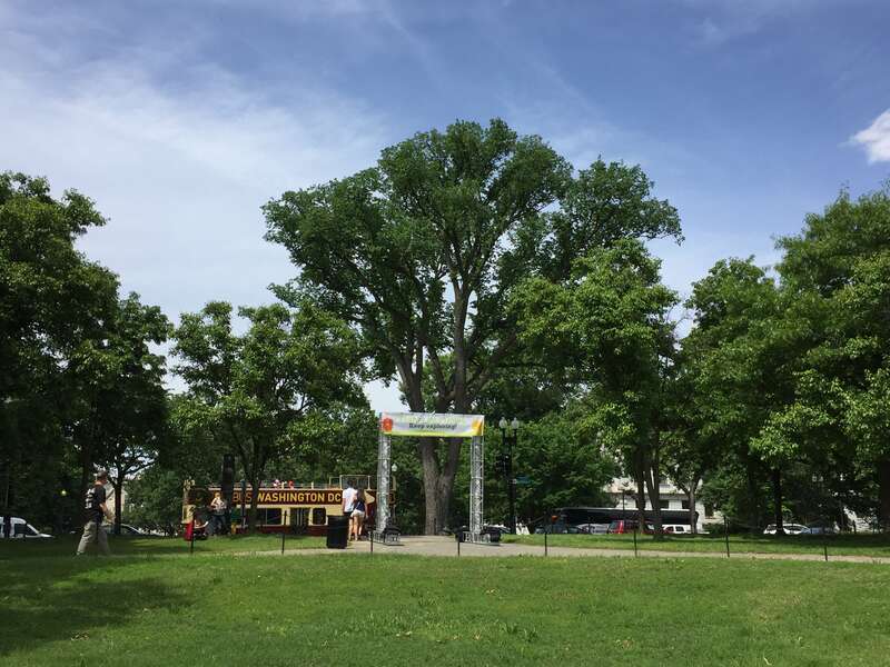 Bioblitz festival dc