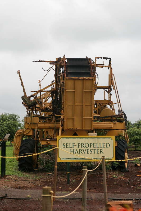 Dole Plantation self-propelled harvester