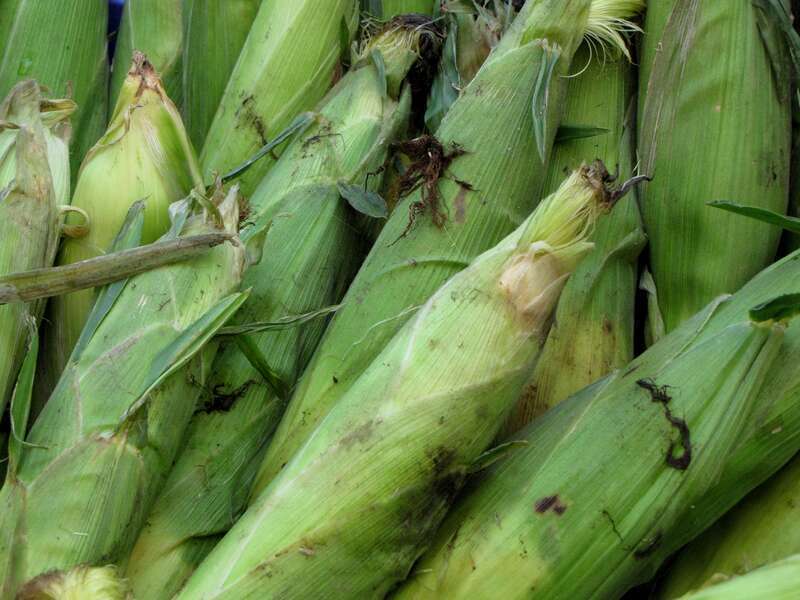Fruits and vegetables for sale on August 5, 2012 at Eastern Market in Washington DC.
More at The Schumin Web:
&amp;lt;a href="https://www.schuminweb.com/photography/fruit-stands/" rel="noreferrer