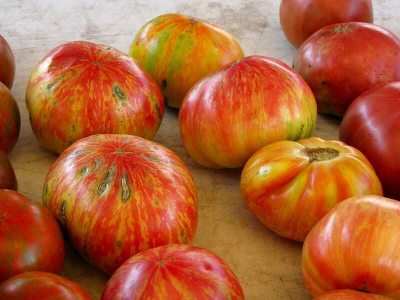 Fruits and vegetables for sale on August 5, 2012 at Eastern Market in Washington DC.
More at The Schumin Web:
&amp;lt;a href="https://www.schuminweb.com/photography/fruit-stands/" rel="noreferrer