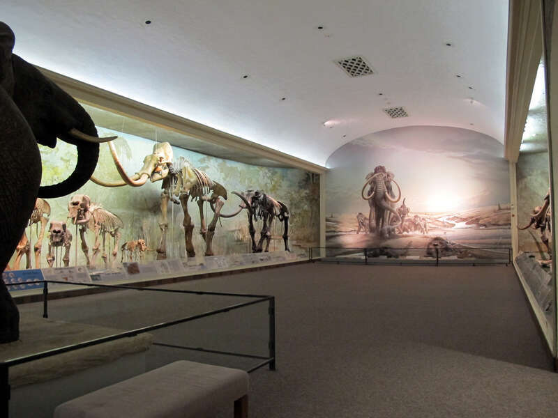 Photo of Elephant Hall within Morril Hall (645 N. 14th Street), on the University of Nebraska-Lincoln city campus in Lincoln, Nebraska.  Photo is looking generally south-southeast into Elephant Hall.