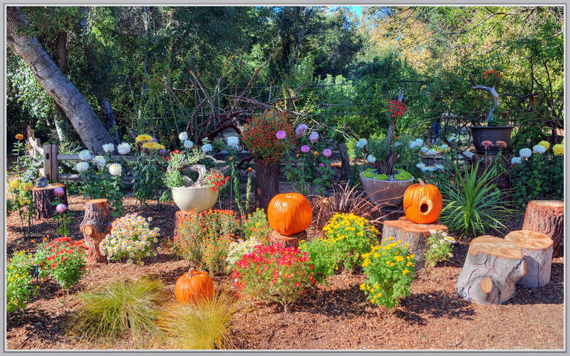 500px provided description: The squirrels got one of the pumpkins and stole all the seeds out of it.

Descanso Gardens. [#autumn ,#flowers ,#color ,#flower ,#fall ,#garden ,#pumpkin ,#HDR]