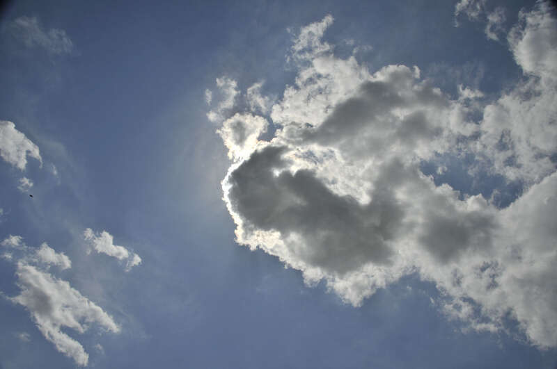 can you spot the bird?  

Cloud Gazing