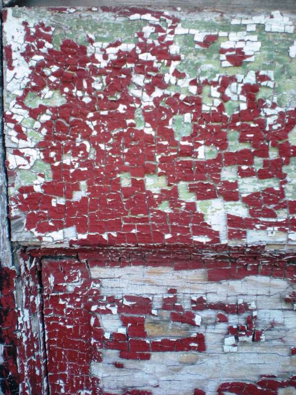 IndyGoth 2009 Tour of Indiana Medical History Museum and Central State Grounds