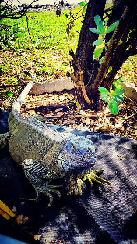 Key West, FL 33040, USA