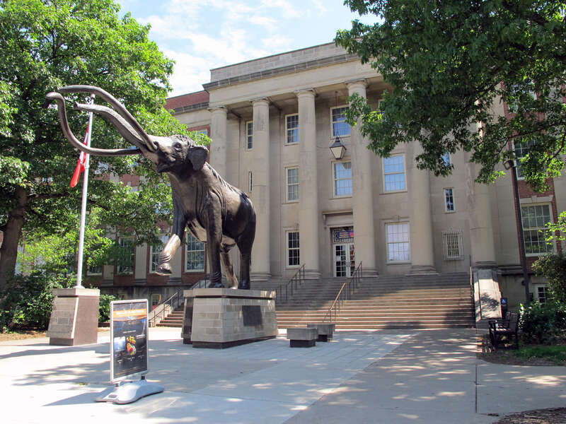 Photo of Lloyd G. Tanner Plaza featuring Fred J. Hoppe's bronze statue of &quot;Archie&quot; (left of center) and the main entrance to Morrill Hall (645 N. 14th Street; right of center).  Both are on the University of Nebraska-Lincoln City Campus in Lincoln,