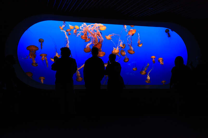 &amp;lt;a href="http://www.dahlstroms.com" rel="nofollow"&amp;gt;www.dahlstroms.com&amp;lt;/a&amp;gt;