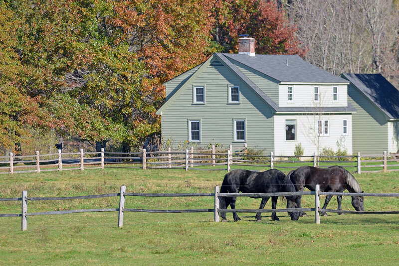 NPS and the Billings Farm &amp;amp; Museum / The Woodstock Foundation explores the integration of conservation, heritage, and human values, while advancing programs, projects, and collaborations for the benefit of the general public within the State of