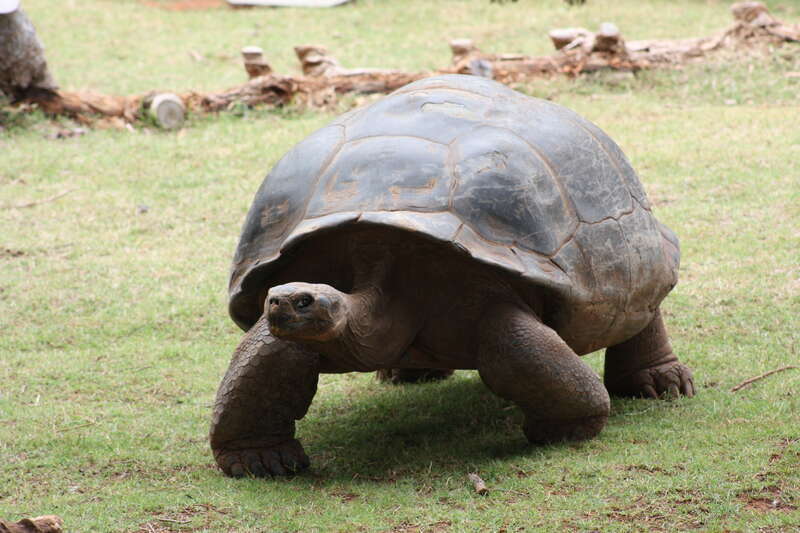Oklahoma City Zoo 5/26/2014