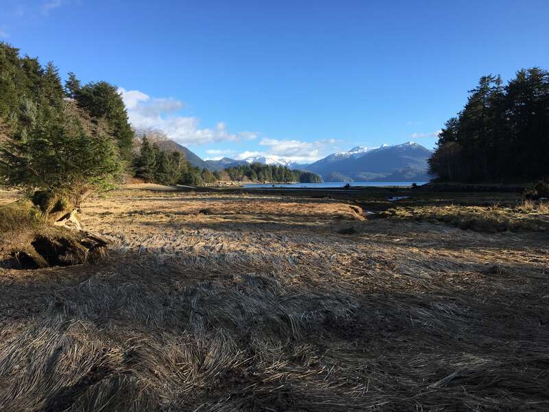 Sitka National Historical Park 

The Indian River estuary at low tide.