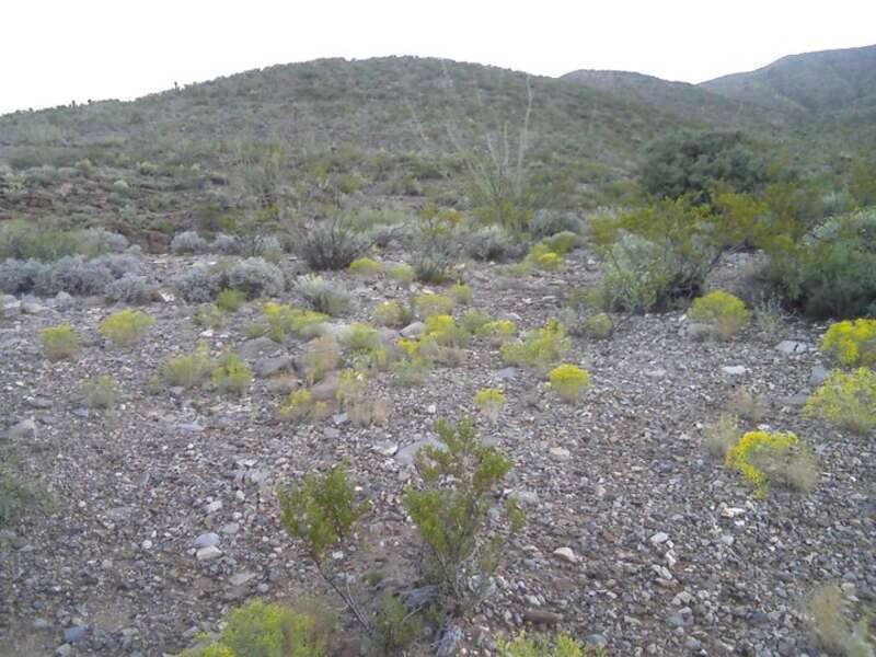 Sunrise In Alamogordo