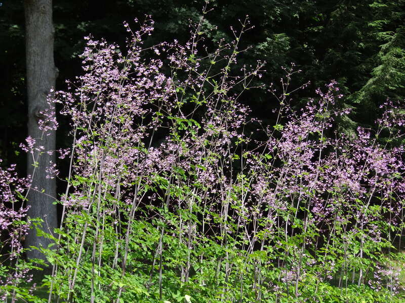 The Mount - Lennox MA