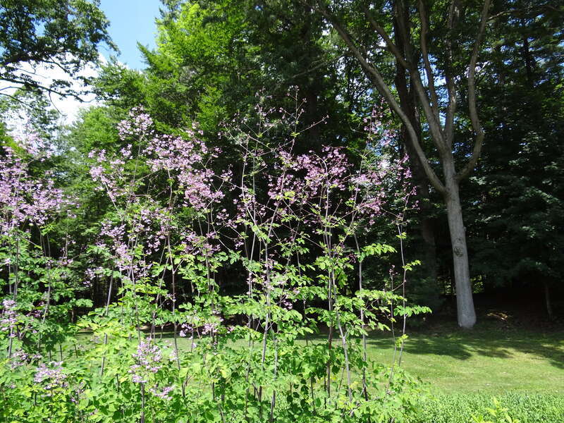 The Mount - Lennox MA