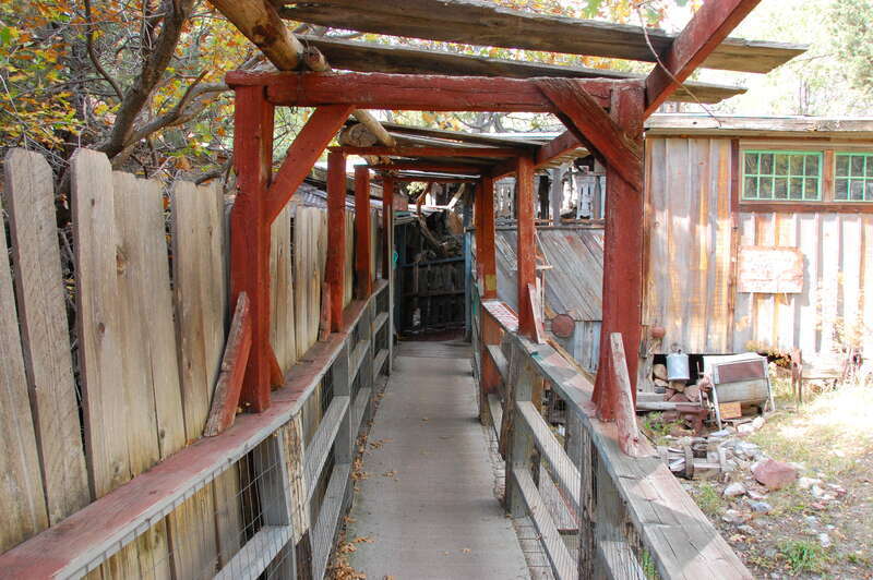 Sandia Park, New Mexico.