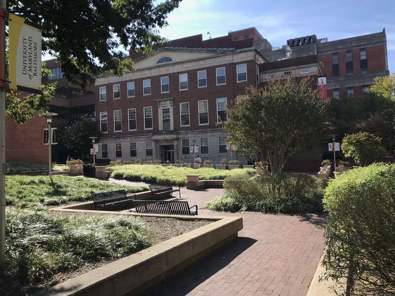 Photograph by Eli Pousson, 2019 September 20.