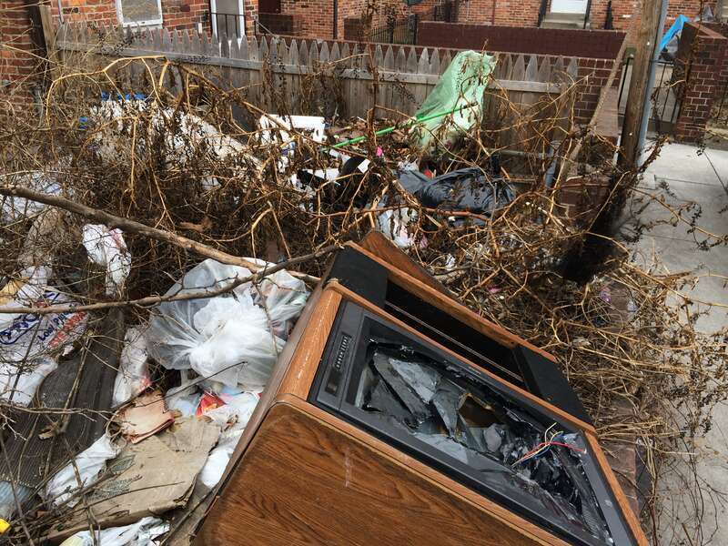 Photograph by Eli Pousson, 2017 January 28.