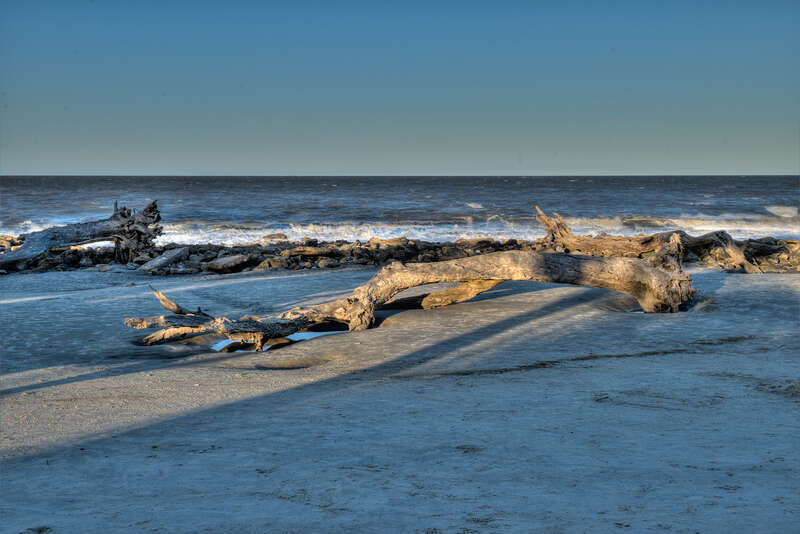 Driftwood Beach - Jekyll Island, GA