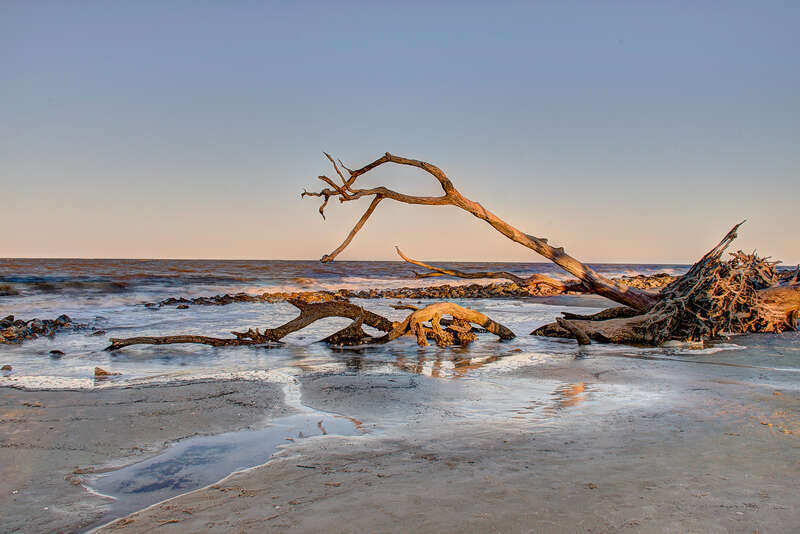 Driftwood Beach - Jekyll Island, GA