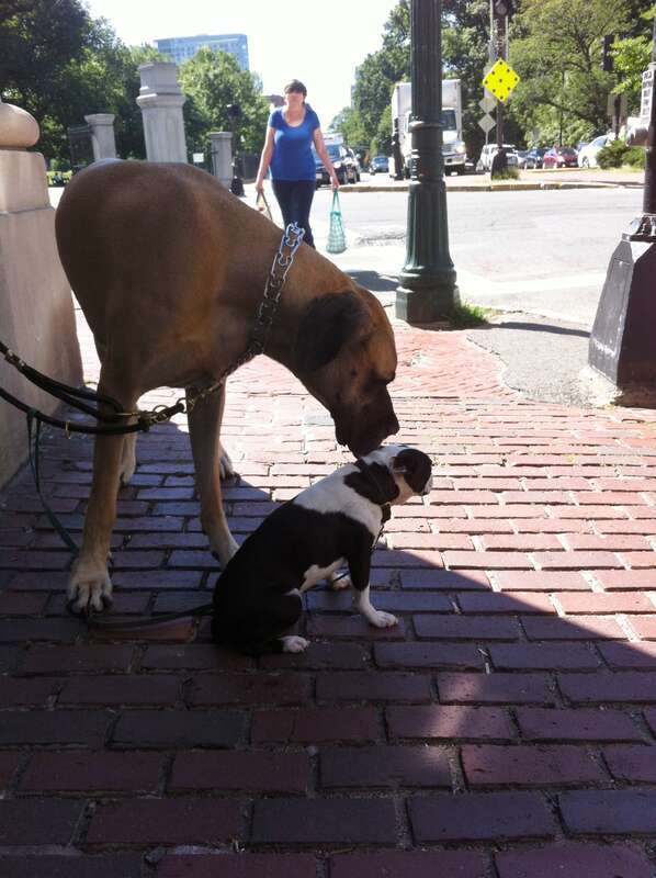 Beacon Hill, Boston, MA, USA