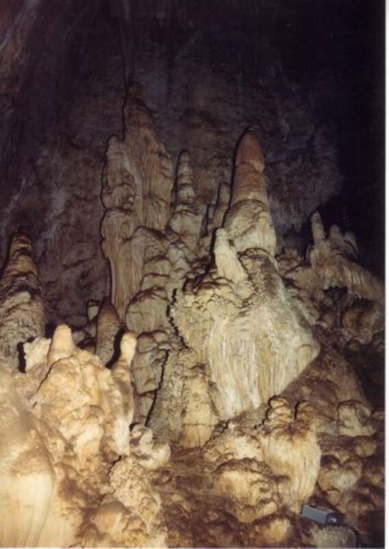 Carlsbad ,New Mexico,USA.