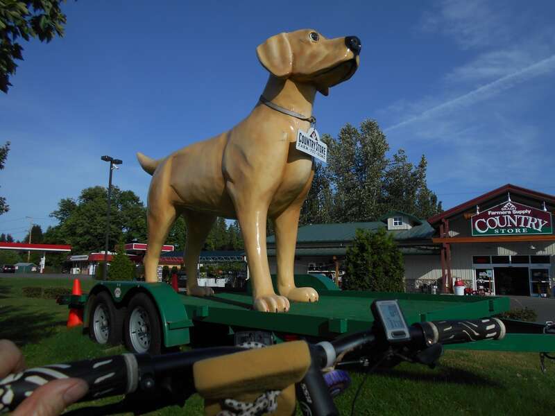 Dogs can be a hazard for bicycles, but not this one in front of a Sedro Woolley store.