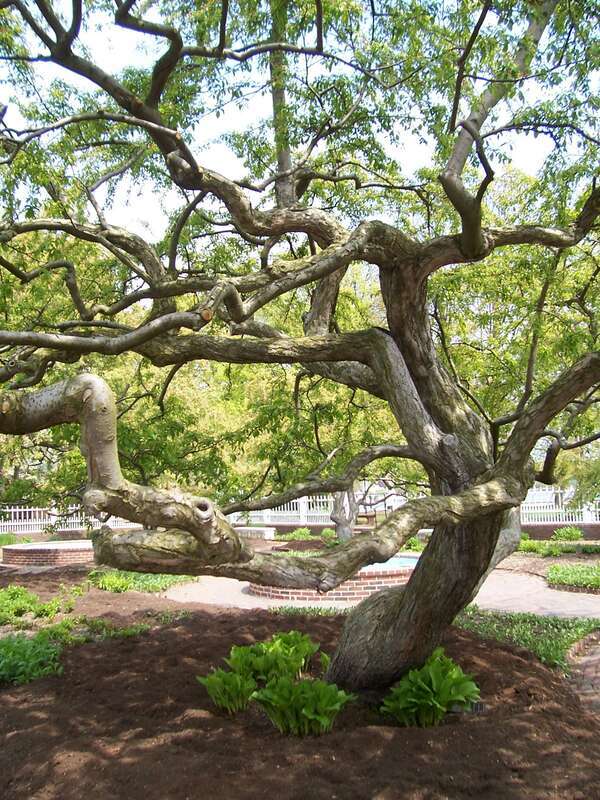 Portsmouth NH.  
Josie F. Prescott Memorial Gardens, Portsmouth, NH. Situated on the waterfront adjacent to Strawberry Bank, the Josie F. Prescott Memorial Gardens provide a touch of outstanding beauty. The Gardens are the focal point of many