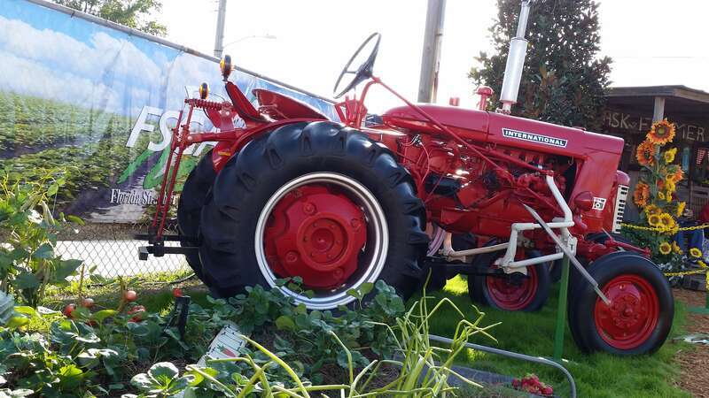 2015 Florida Strawberry Festival

303 North Lemon Street, Plant City, FL 33563, US