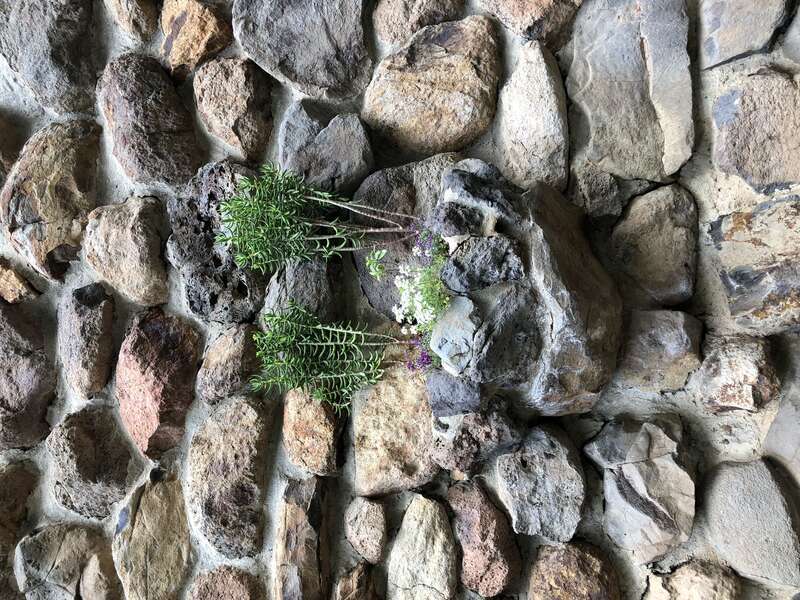 at Jack London State Historic Park in Glen Ellen, California