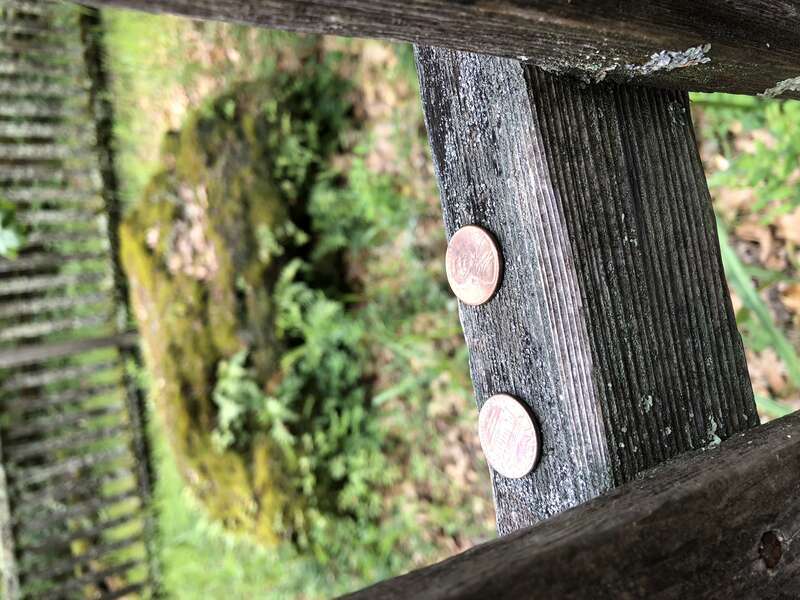 at Jack London State Historic Park in Glen Ellen, California