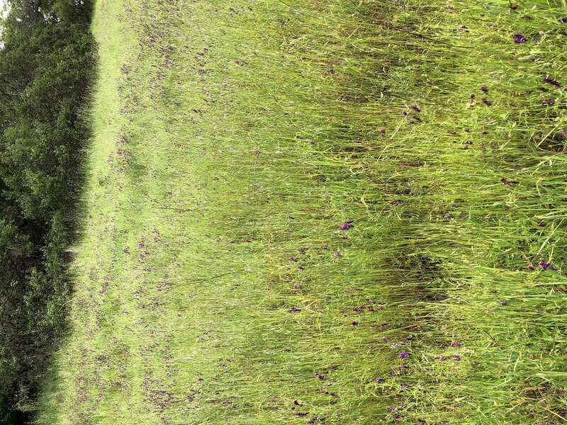 at Jack London State Historic Park in Glen Ellen, California