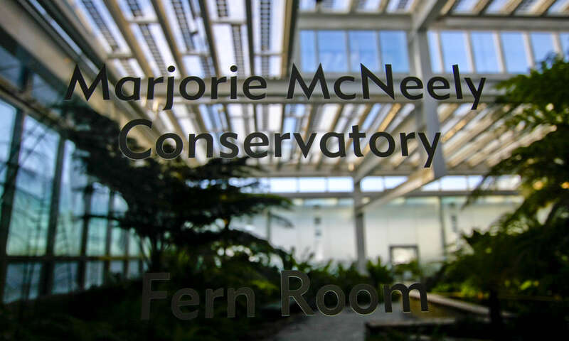 Marjorie McNeely Conservatory - Fern Room