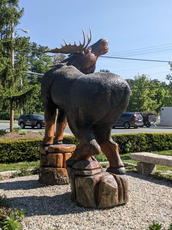 Carved wooden moose sculpture on lawn of Eastern Slope Inn Resort at 2760 White Mountain Highway (U.S. Route 302) in North Conway, New Hampshire.