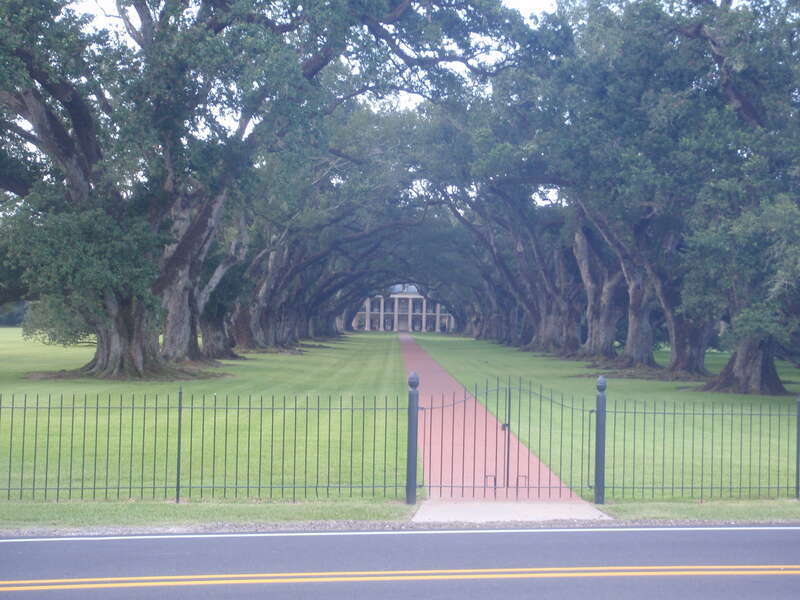 Oak Alley Plantation
View of Oak Alley Plantation from the Main Road.