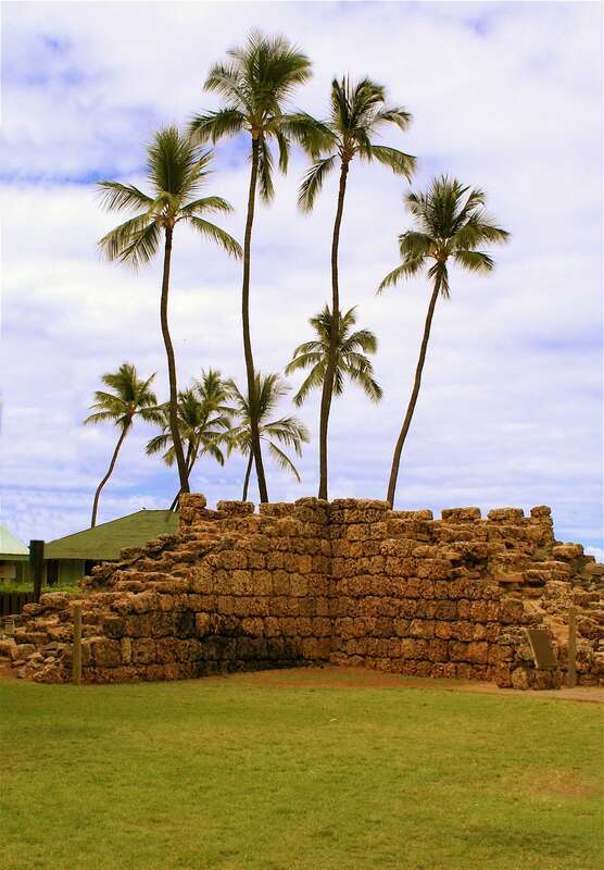 Palm trees back up the remnants of the old Lanaina fort. The fort was built when sailors from the whaling ships parked off shore shot canons into the town as a protest to the missionary's attempts to clean up their behavior by banning native women