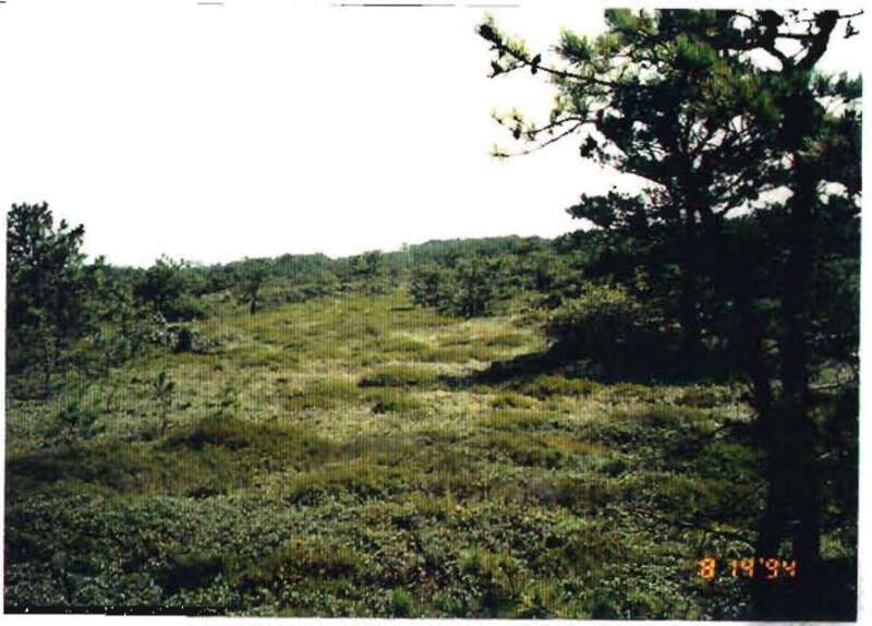 Looking West at Bomb Target.