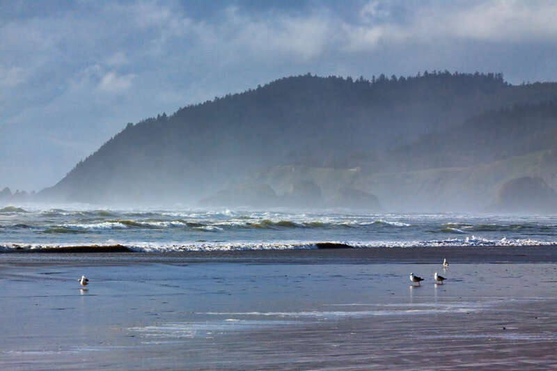 500px provided description: Strolling On The Beach [#mist ,#beach ,#gulls ,#oregon ,#cliffs ,#pacific]