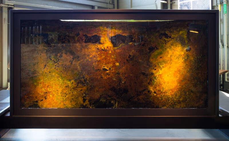 Bacteriapolis at the Exploratorium. (Photosynthetic bacteria)