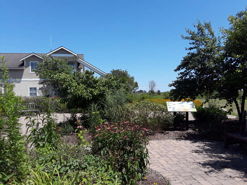 Blackwater NWR visitors center and grounds.