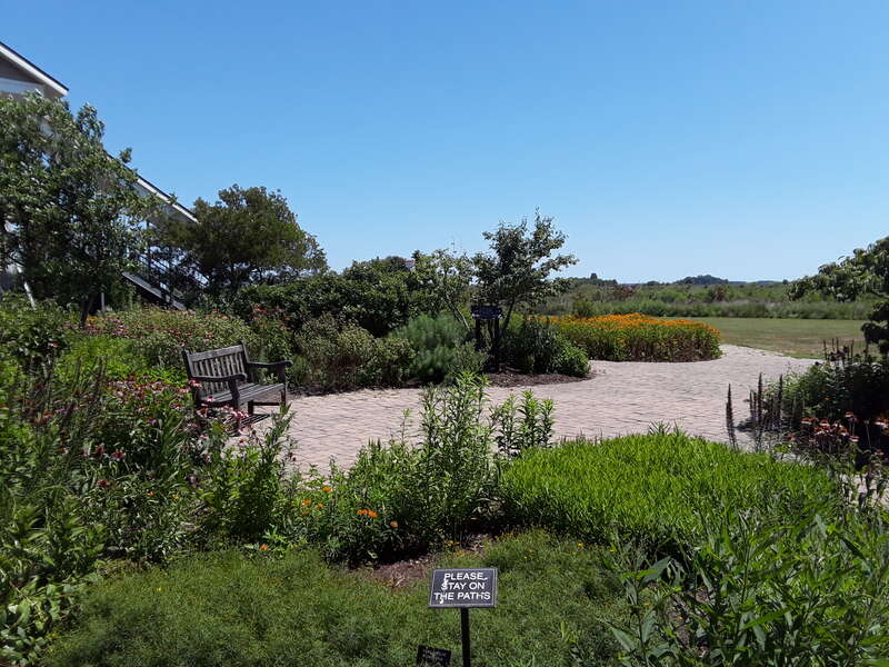 Blackwater NWR visitors center and grounds.
