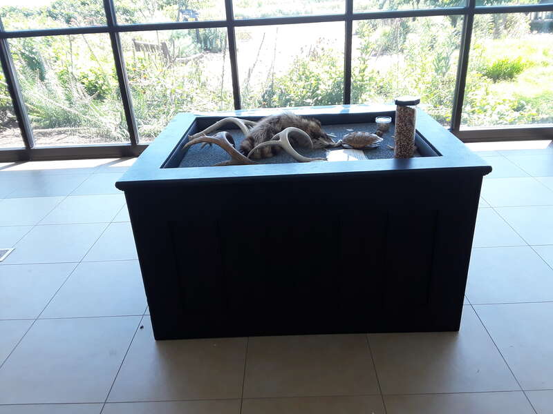 Blackwater NWR visitors center and grounds.