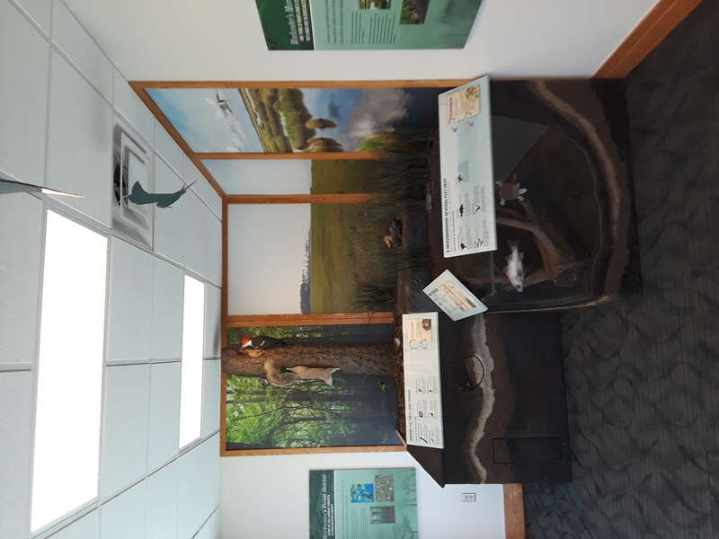 Blackwater NWR visitors center and grounds.