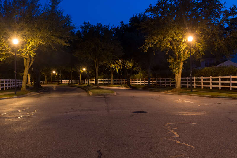 500px provided description: Clifton Bridge Drive and Tower Bridge Loop, Virginia Beach, VA [#5 second exposure ,#Tree ,#Sky ,#Virginia Beach ,#Night photography ,#Street lights]