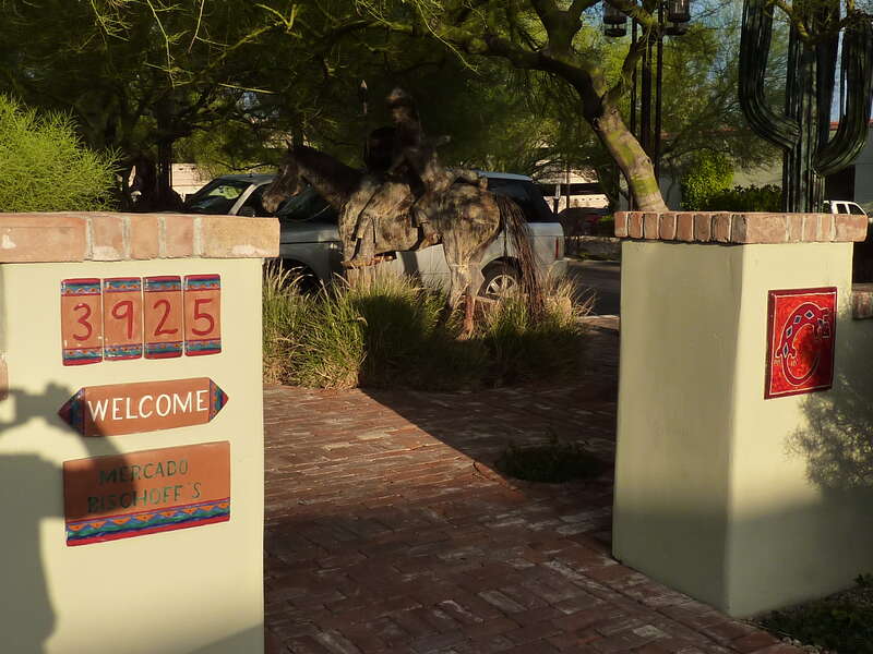 Horse &amp;amp; Riders in the Shade