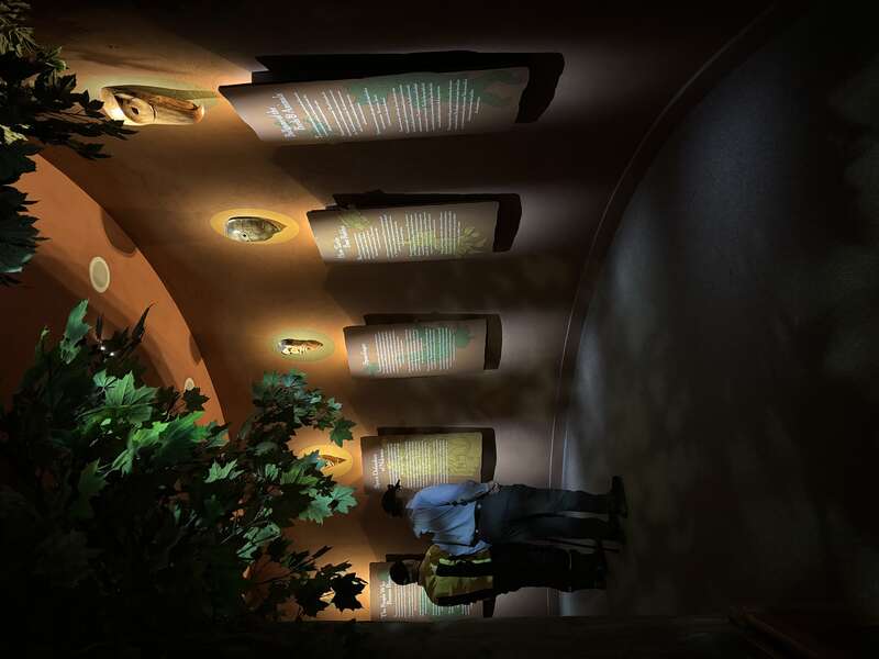 Museum of the Cherokee Indian